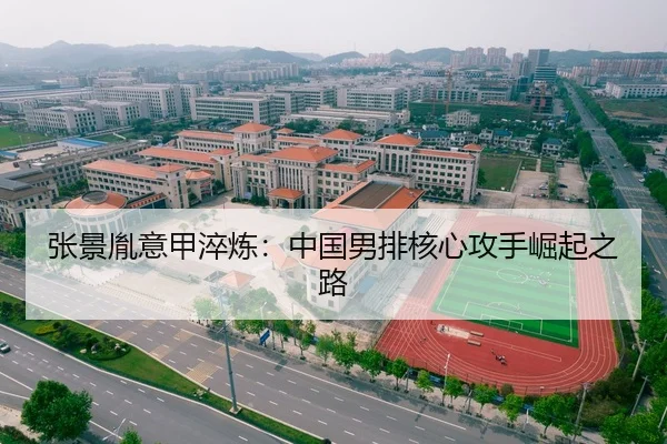 张景胤意甲淬炼：中国男排核心攻手崛起之路